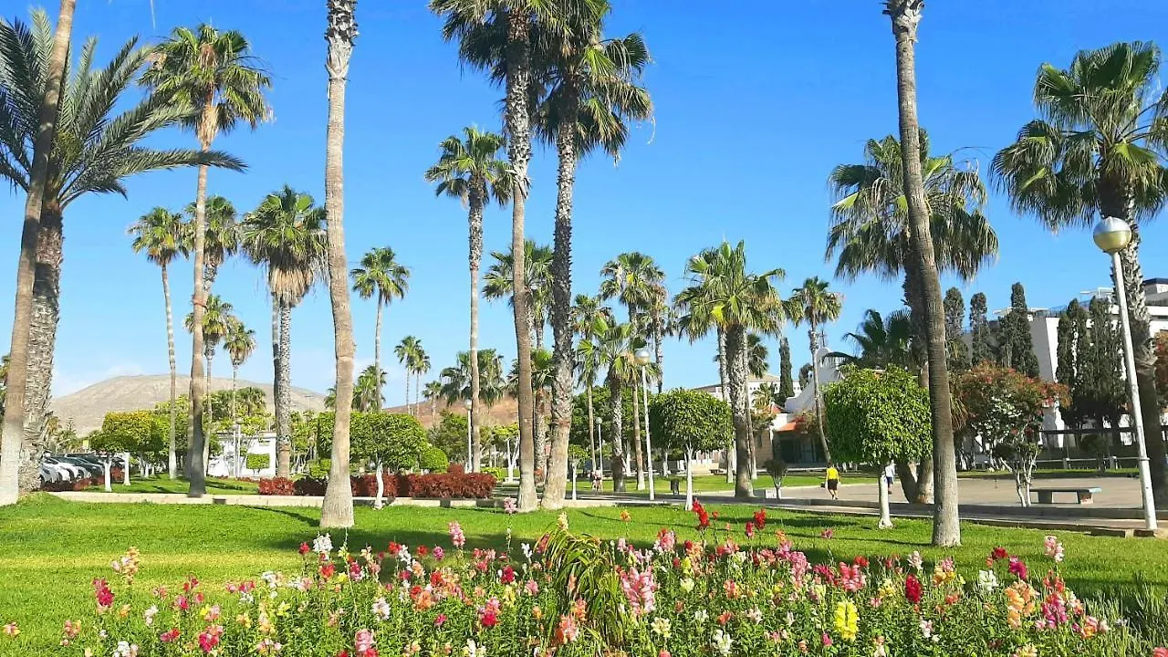 Fresh Apartment In Las Americas, Pe210 Next To The Beach Arona